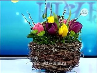 Ораторское мастерство губернатора