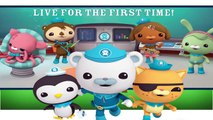 Octonauts Finger Family Nursery Rhymes For Children