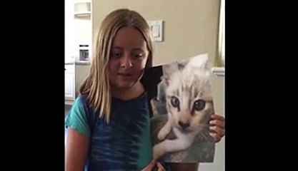 Kitty Cat Is Terrified By His Own Photo