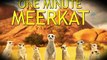 Meerkat Gets Busted For Public Urination