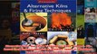 Download PDF  Alternative Kilns and Firing Techniques Raku  Saggar  Pit  Barrel Lark Ceramics FULL FREE