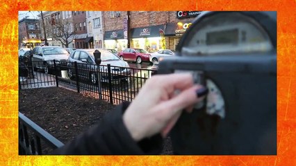 (Satire) BF vs. GF try to KILL CAT |FreebootCreative Dub