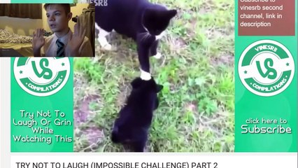 Try Not To Laugh - Bush Grubs Mealworms 400 Subs
