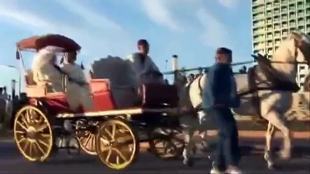 Rai Oran Terre Natale du Rai et sa folie , sa furie , sa joie de vivre .