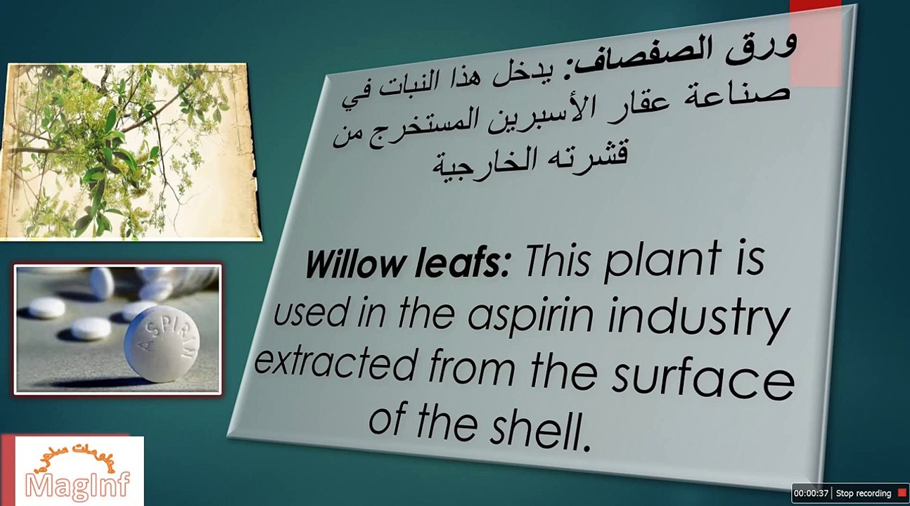 أطعمة تعادل أدوية معروفة\The food that is equivalent to popular medicine