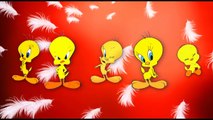 Duck Finger Family Song, Children Songs and Baby Songs done by Kids Crazy Rhymes