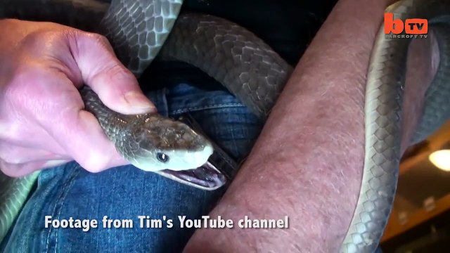 Il se laisse mordre par des serpents pour s’immuniser contre le venin