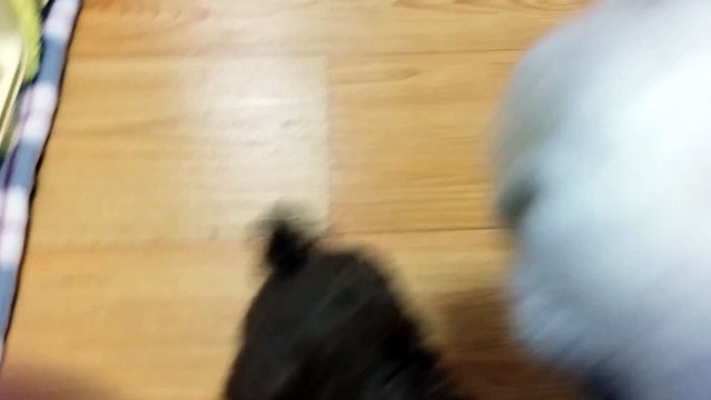 당산출장안마 ⎆【OIO↔9988↔2311】 ㅋr톡 ►mint9639◄ 당산출장마사지