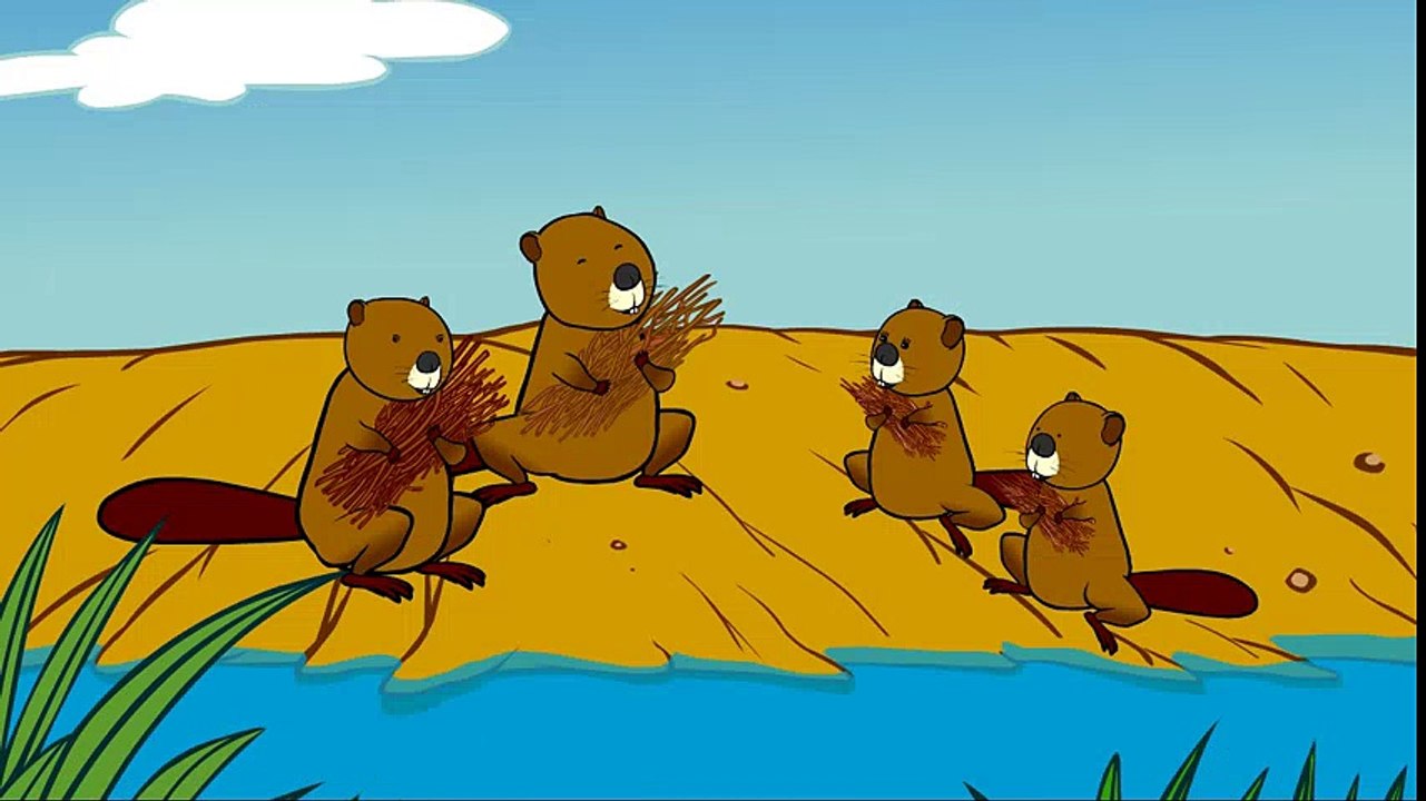 La famille castor - Dessin animé éducatif Genikids pour enfant  Dessins Animés Pour Enfants