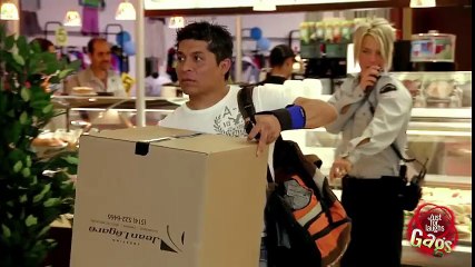 Cute Tiny Dog HORRIFIES People