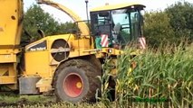 NEW HOLLAND FR 9080 à caisson à lensilage du maïs en 2010