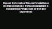 Download China at Work: A Labour Process Perspective on the Transformation of Work and Employment