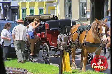 Horse drawn carriage party!