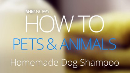 Homemade Dog Shampoo
