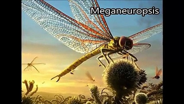 Dünyanın Gelmiş Geçmiş En Büyük 10 Hayvan Türü Yok Böyle Bir