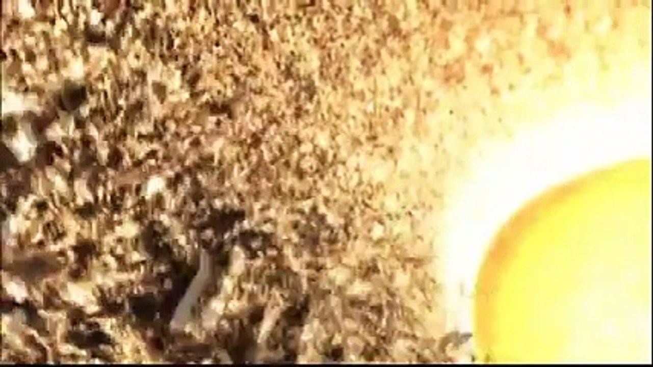 Dünya'ya Büyük Bir Göktaşı Çarparsa Ne Olur Yok Böyle Bir Şe