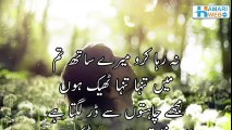 Main Tanha Tanha Theek Hoon - Poetry Videos