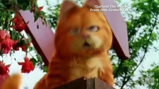 Grumpy Cat goes from meme to the big screen top songs 2016 best songs new songs upcoming songs latest songs sad songs hindi songs bollywood songs punjabi songs movies songs trending songs mujra dance Hot songs