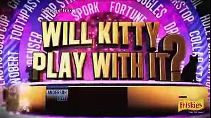 Grumpy Cat in the House! top songs 2016 best songs new songs upcoming songs latest songs sad songs hindi songs bollywood songs punjabi songs movies songs trending songs mujra dance Hot songs