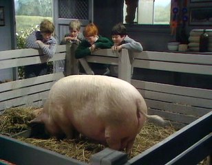 Just William 1976 S01e07 William And The Prize Pig