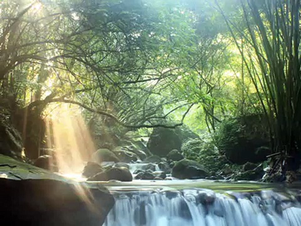 龍泉溪斜射光(2012.8.31)