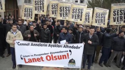 Stk'lardan "Karikatür" Tepkisi - Van/mardin/batman/