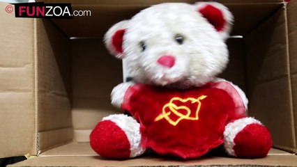 Life-Bekar-Hai--Cute-Teddy-Bear-Singing-Funny-Hindi-Song--Lyrics