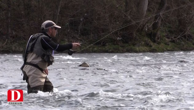 Pêche à la truite : les 5 conseils d'un coach avant l'ouverture