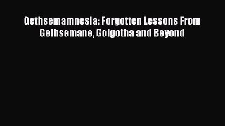 PDF Gethsemamnesia: Forgotten Lessons From Gethsemane Golgotha and Beyond  Read Online