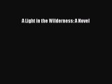 Read A Light in the Wilderness: A Novel PDF