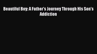 Read Beautiful Boy: A Father's Journey Through His Son's Addiction Ebook Free