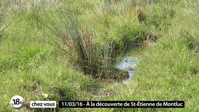 Le 18h chez vous à Saint-Etienne de Montluc