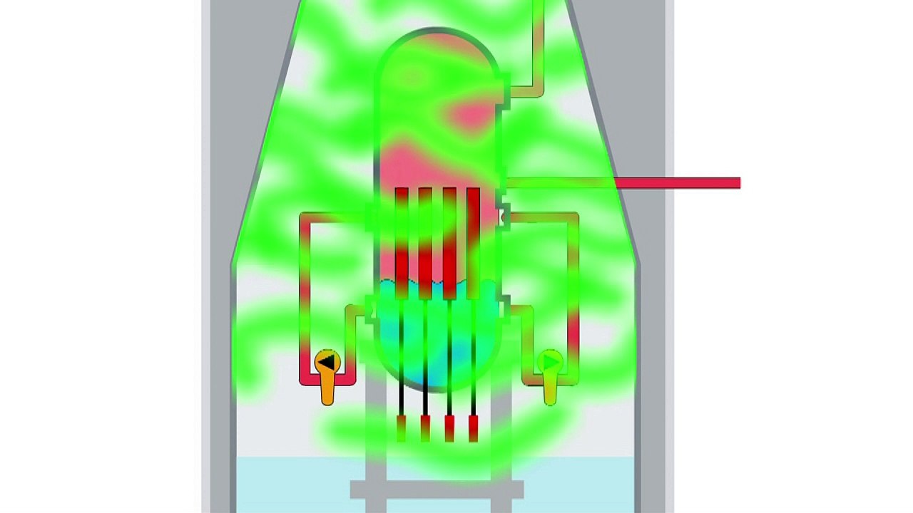 Videografik: Fukushima