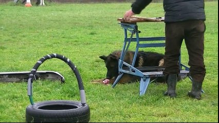 Ianouk, Mondioring 1, Mérignac 2016.