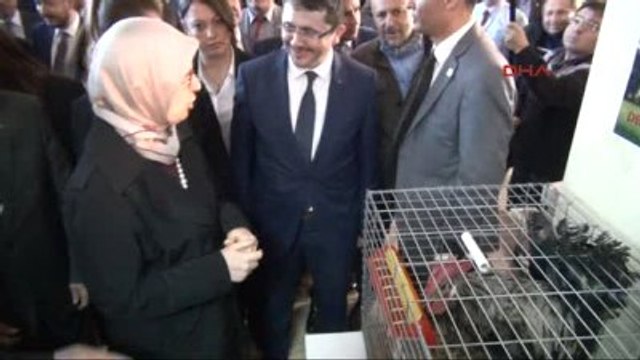 Denizli Bakan Ramazanoğlu: İzmir'de Yaşanan Görüntüler İnsanlık Dışı