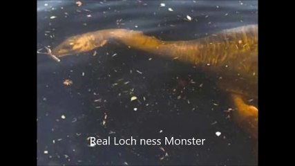PROOF THAT THE LOCH NESS MONSTER IS REAL