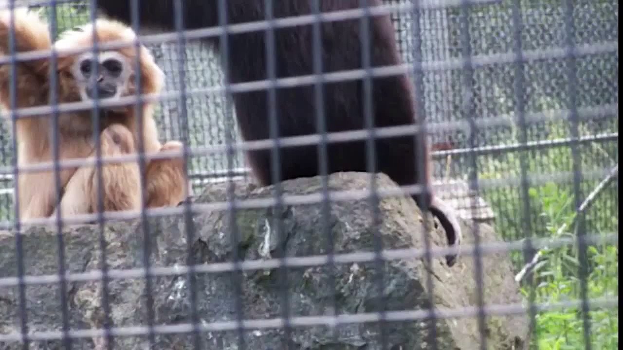 Как заткнуть свою девушку