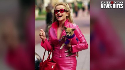 Скачать видео: Reese Witherspoon Shares Sad News That The Dog From ‘Legally Blonde’ Has Died