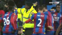 Yohan Cabaye Goal HD - Reading 0-1 Crystal Palace - 11-03-2016 FA Cup