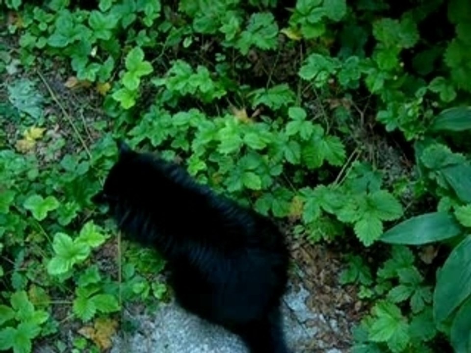 Zoé en train de vomir