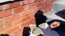 Tuck Pointing Method for Repointing Bricks Steps Chimneys Walls How To