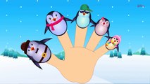 Penguins Finger Family | Finger Family Song For Kids