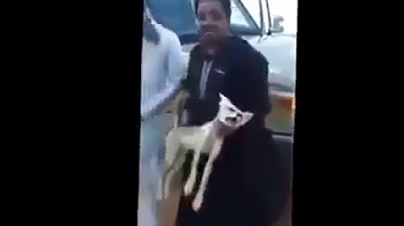 Put his title