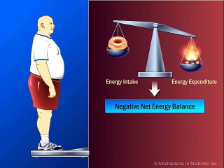 How Does Exercise Impact Weight Loss