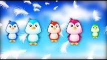 Cute Birds Finger Family Song, Children Songs and Baby Songs done by Kids Crazy Rhymes