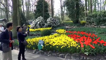 Dünyanın en büyük çiçek bahçesi görenleri büyülüyor