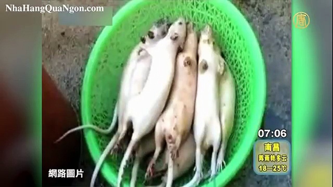 10 món ăn dơ bẩn nhất ở Trung Quốc