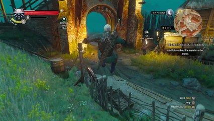 THE WITCHER 3 WALKTHROUGH PART 109 - GHOSTS OF THE PAST