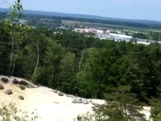 Promenade-forêt 016