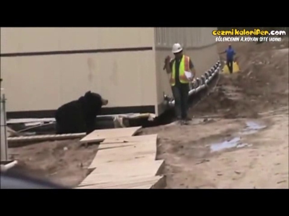 Ayı Kostümüyle İş Arkadaşının Aklını Başından Alan Adam